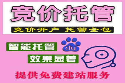 百度联盟营销：案例分享如何实现精准广告投放